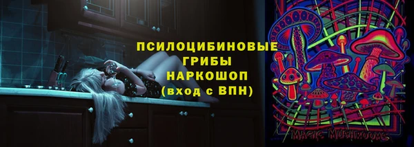 спиды Абаза