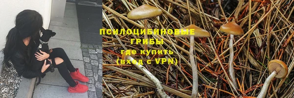 спиды Абаза