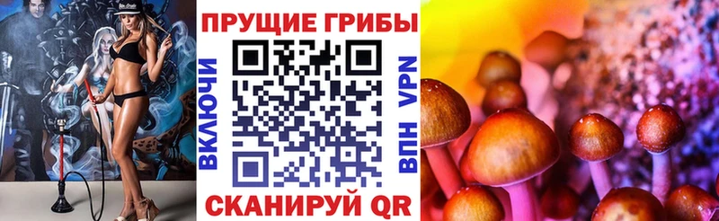 Псилоцибиновые грибы GOLDEN TEACHER  hydra зеркало  Тольятти 