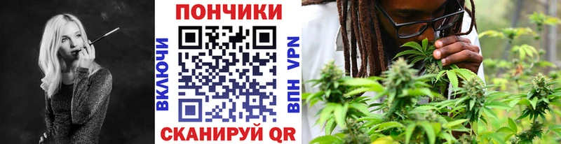 наркотики Тольятти Каннабис планчик